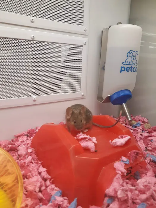 Petco Picture 8