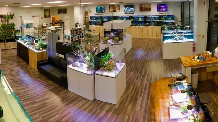 OSA Aquarium Superstores & Services- Seekonk MA Picture 7