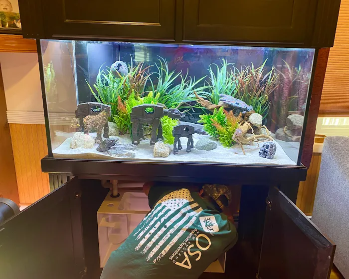 OSA Aquarium Superstores & Services- Seekonk MA Picture 9