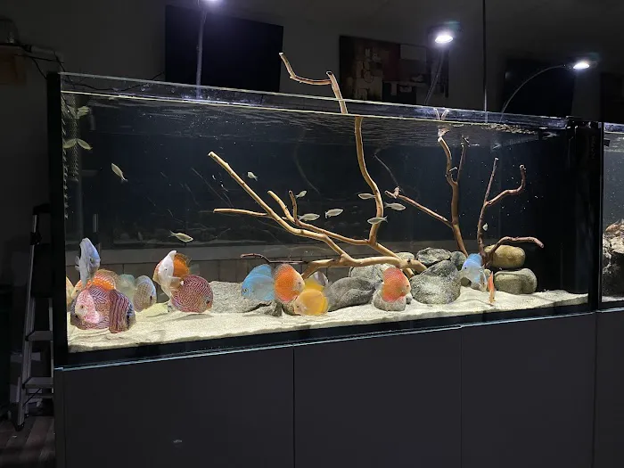 OSA Aquarium Superstores & Services- Seekonk MA Picture 4