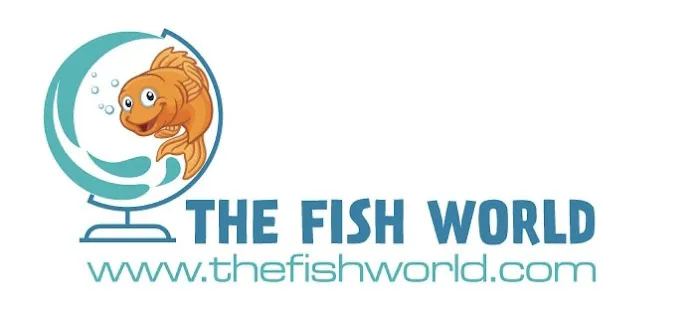 The Fish World Picture 2