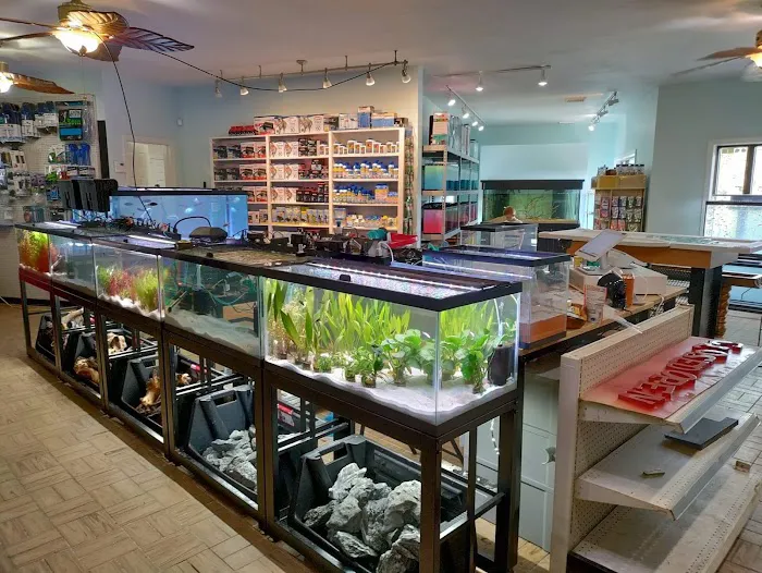 The Fish World Picture 8