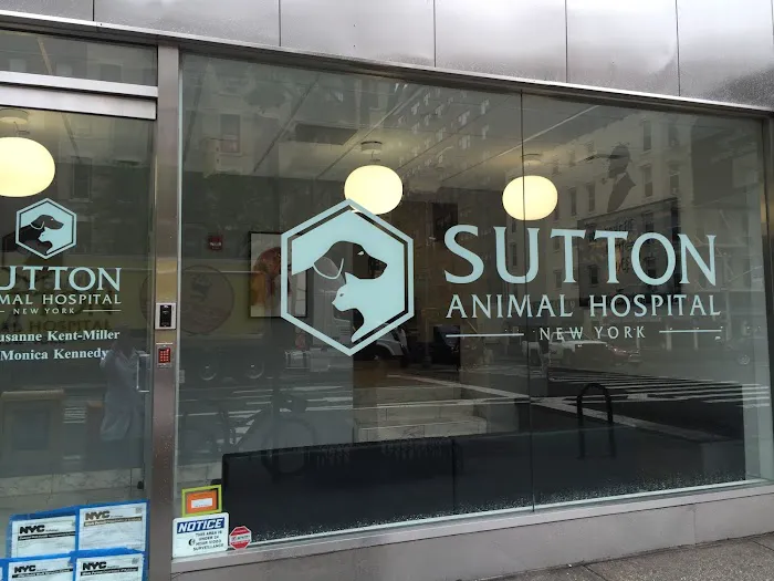 Sutton Animal Hospital Picture 7