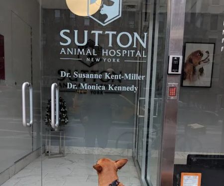 Sutton Animal Hospital