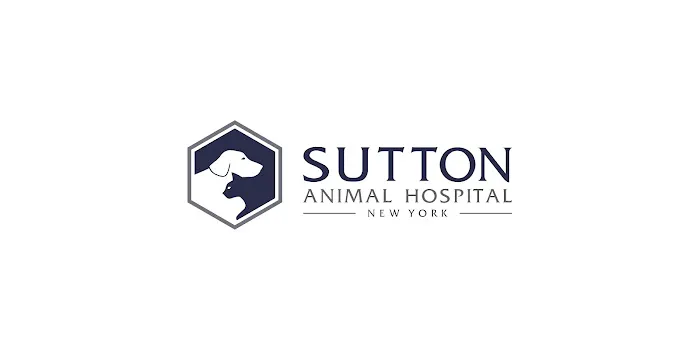 Sutton Animal Hospital Picture 2