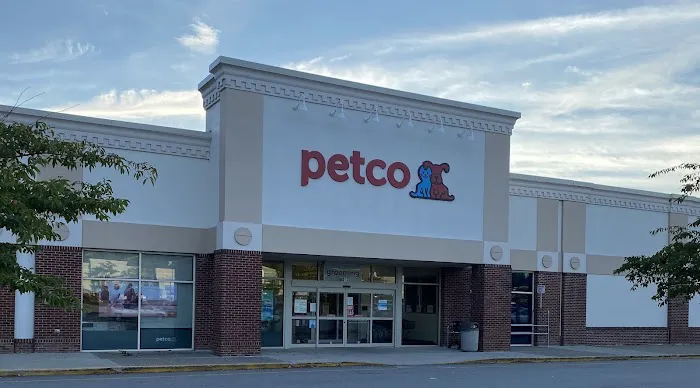 Petco Picture 2