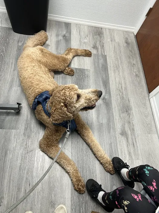 4 Legged Friends Veterinary Clinic PC Picture 8