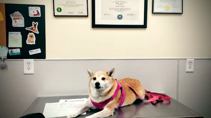 4 Legged Friends Veterinary Clinic PC Picture 9
