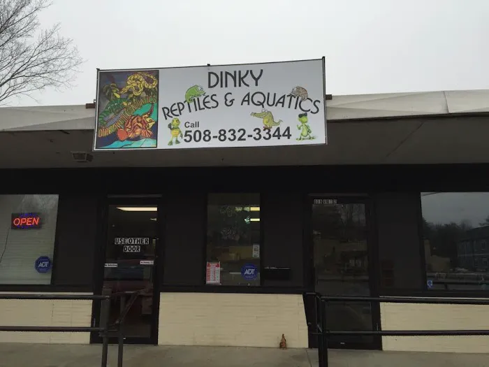 Dinky Reptiles And Aquatics Picture 1