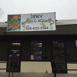 Dinky Reptiles And Aquatics