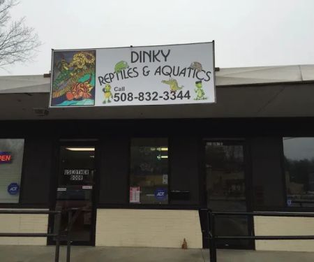 Dinky Reptiles And Aquatics