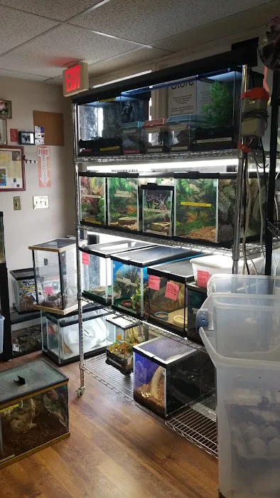 Dinky Reptiles And Aquatics Picture 3