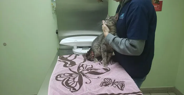Bath Animal Hospital Picture 6