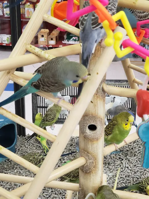 Petco Picture 10