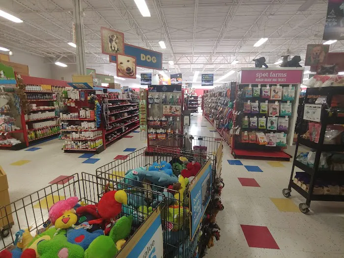 Petco Picture 5