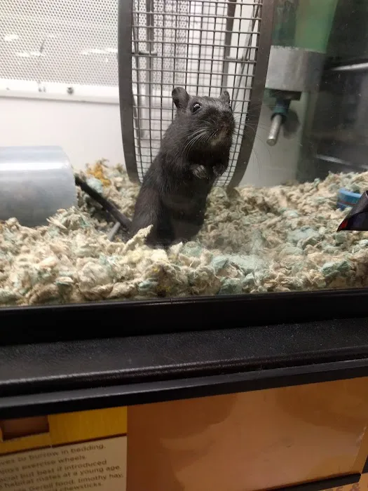 Petco Picture 6