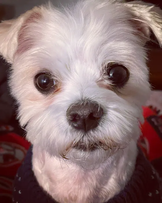 Petco Picture 3