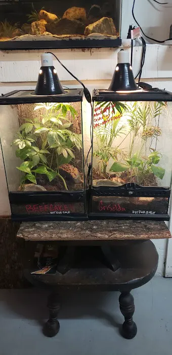 Luckys Aquarium Picture 2