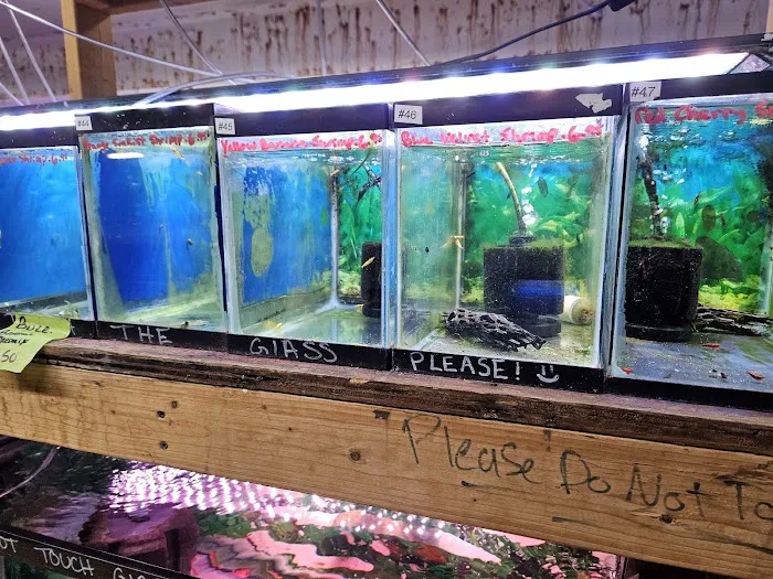 Luckys Aquarium Picture 4