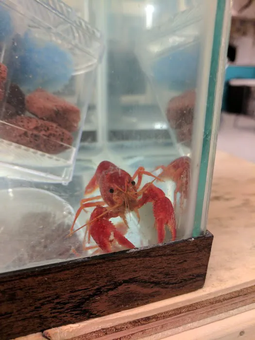 Luckys Aquarium Picture 7