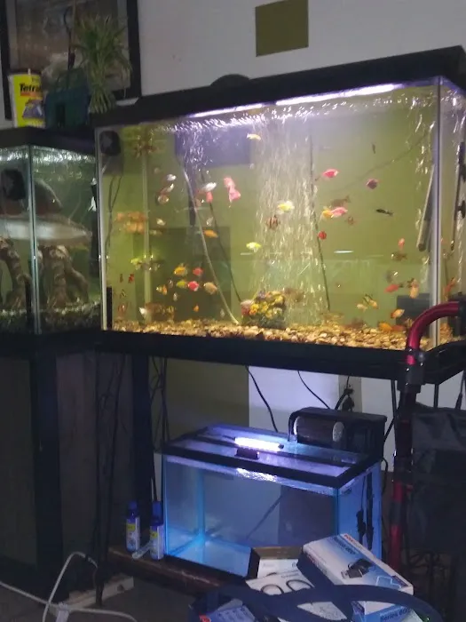 Luckys Aquarium Picture 5