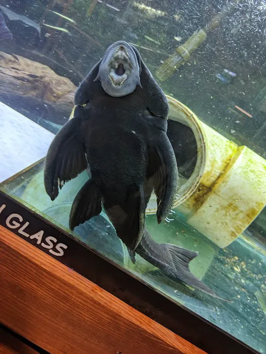 Luckys Aquarium Picture 6