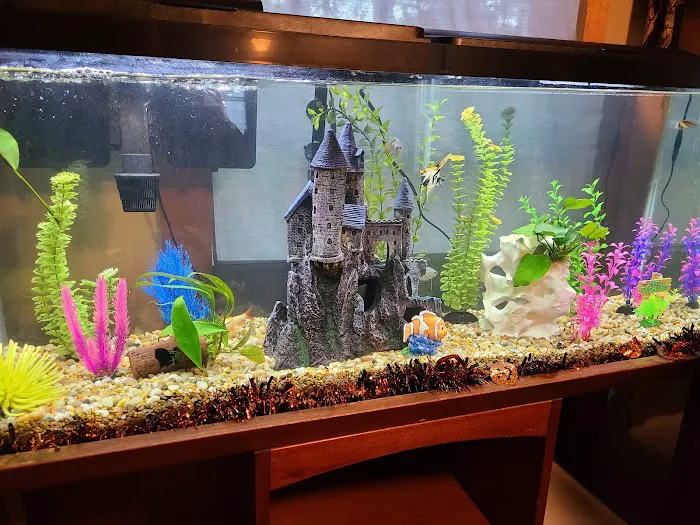 Luckys Aquarium Picture 8