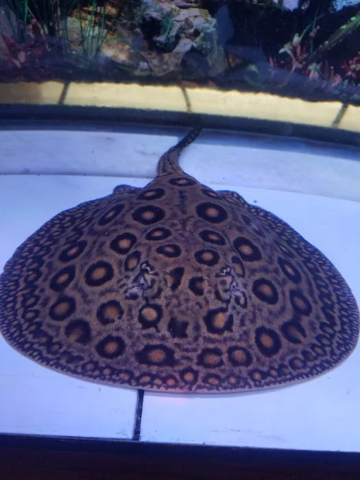 Luckys Aquarium Picture 9