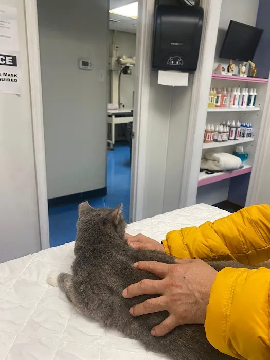 Animal Clinic of Bay Ridge Picture 6