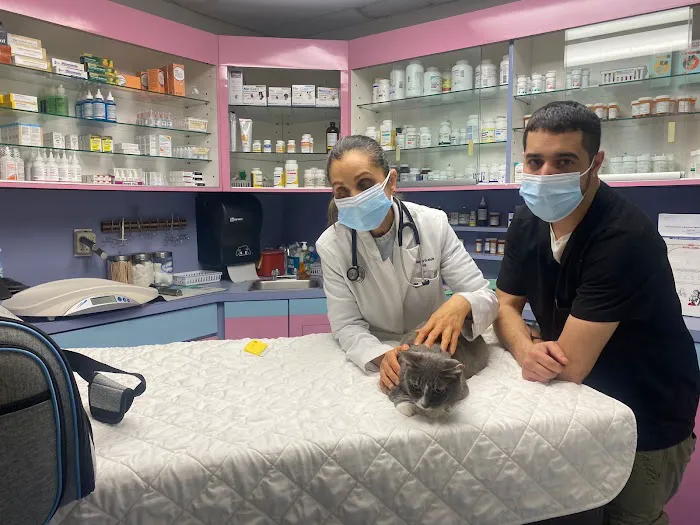 Animal Clinic of Bay Ridge Picture 4