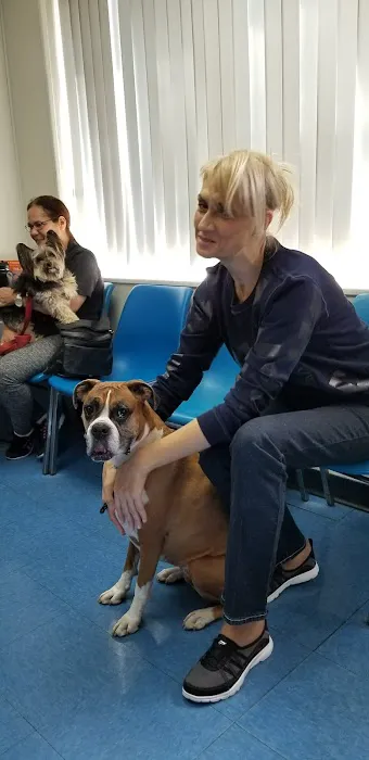 Animal Clinic of Bay Ridge Picture 1