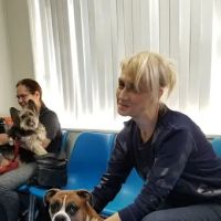 Animal Clinic of Bay Ridge ico