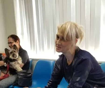 Animal Clinic of Bay Ridge