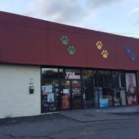Gibson's Natural Pet ico