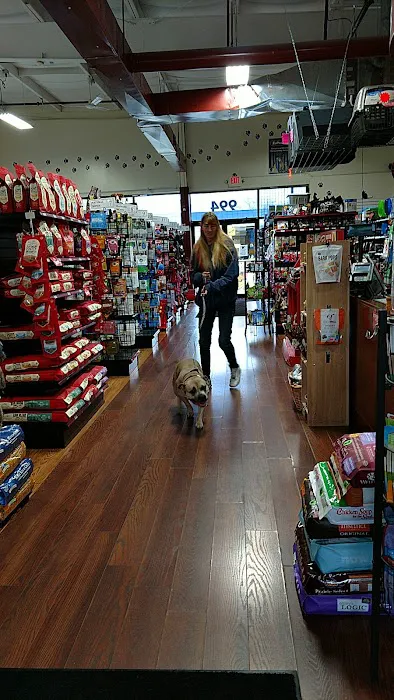 Gibson's Natural Pet Picture 6