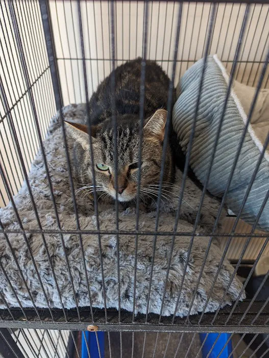 Loving Paws Animal Hospital Picture 5