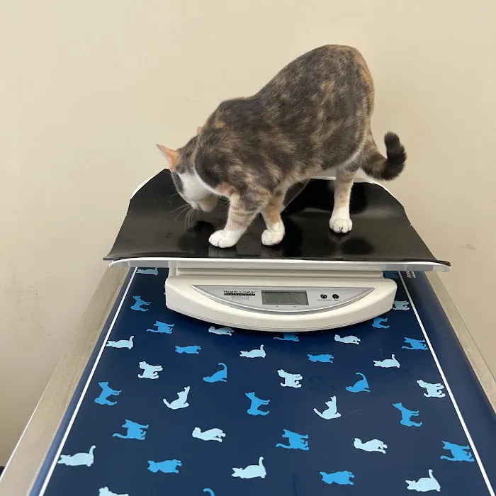 Vetco Total Care Animal Hospital Picture 4