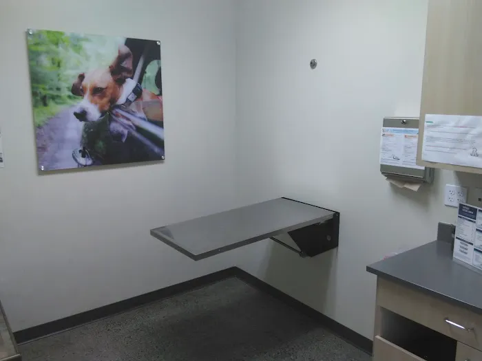 Vetco Total Care Animal Hospital Picture 3