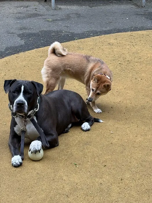 Vetco Total Care Animal Hospital Picture 8