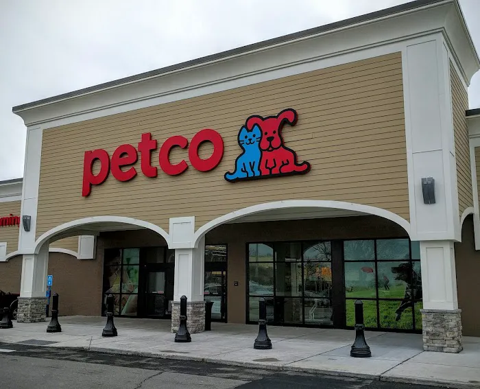 Petco Picture 7