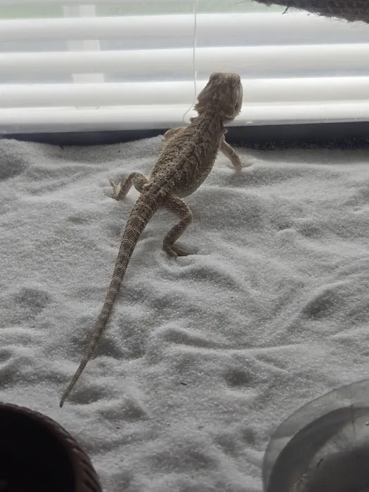 Petco Picture 9