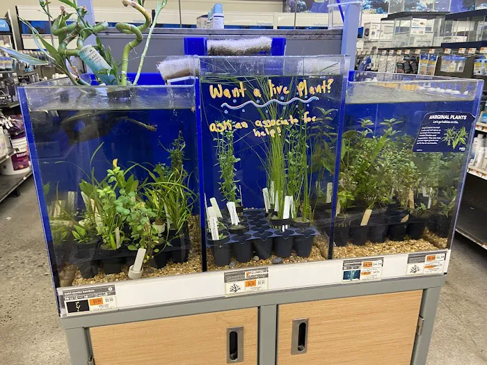 Petco Picture 4