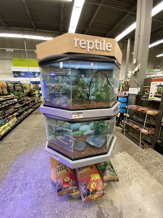 Petco Picture 2
