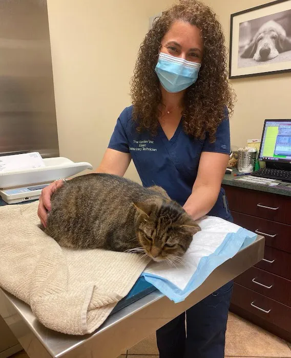 Carroll Gardens Veterinary Group Picture 4