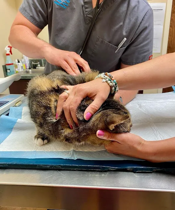 Carroll Gardens Veterinary Group Picture 5