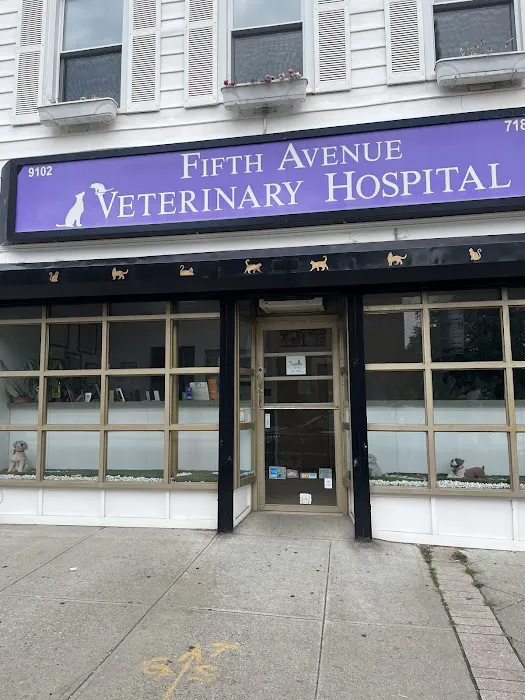 Fifth Avenue Veterinary Hospital Picture 3