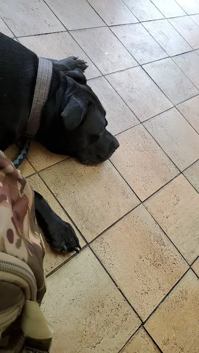 Fifth Avenue Veterinary Hospital Picture 4
