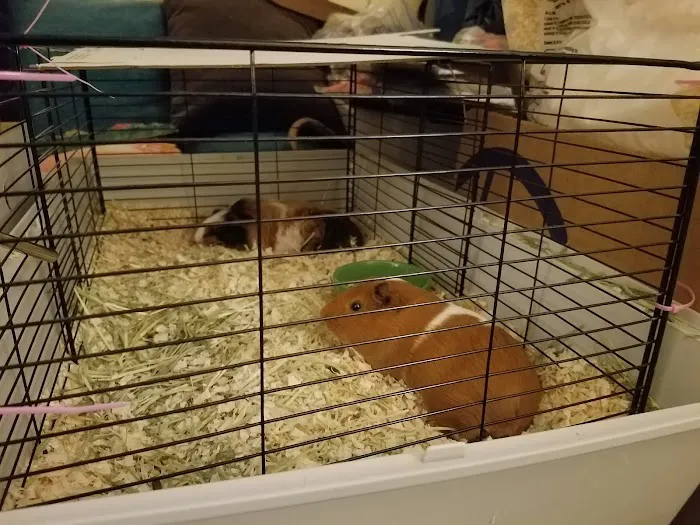 Petco Picture 9