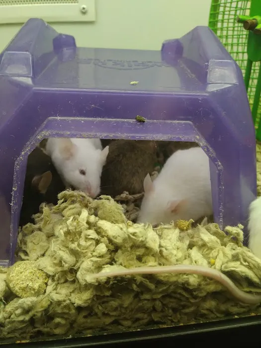 Petco Picture 8