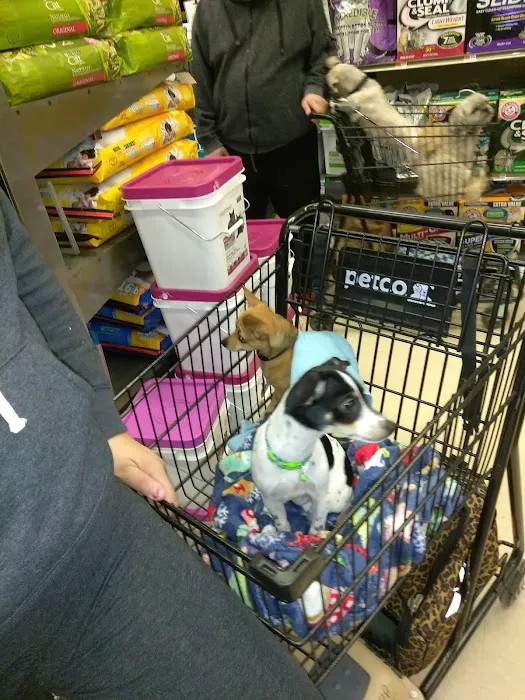 Petco Picture 3